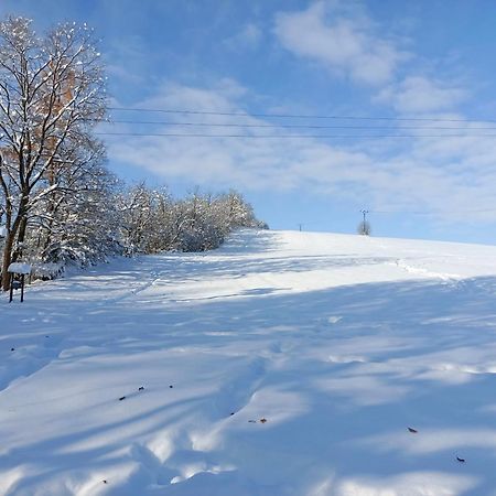 Doudleby U Ceskych Budejovic Экстерьер фото